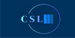 CSL MARINE SURVEYORS LLC